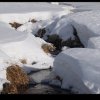 img_4341