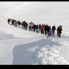 img_4415