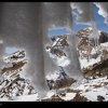 img_4605