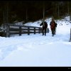img_4989