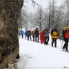 IMG_7566