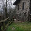 madonnadelvisello_20120318_25