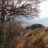 montebiaena_04aprile201213