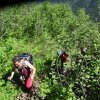 IMG-20180610-WA0002_1528724382900