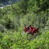IMG-20180610-WA0027_1528724376920