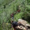 IMG-20180610-WA0030_1528724375579